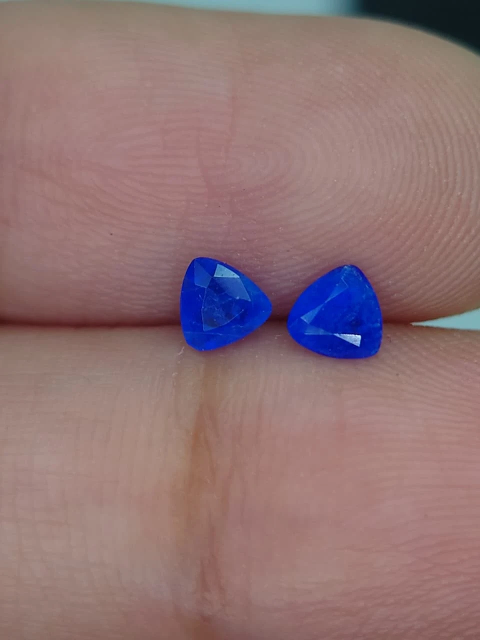 0.3ct Natural Rare Hauyne Trillion Faceted Pair from Afghanistan — view 3